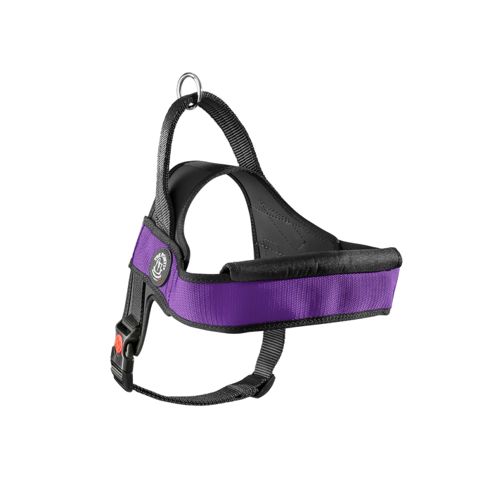 Primo Plus Onyx Violet Harness with Handle