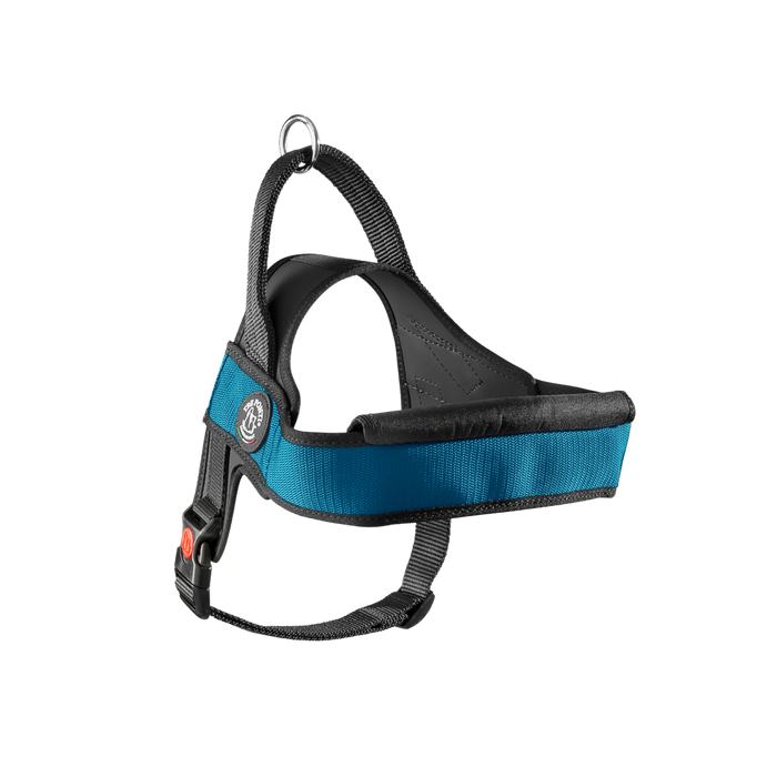 Primo Plus Onyx Teal Harness with Handle