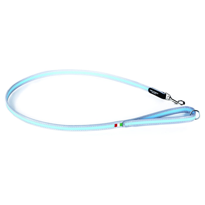 Light Blue Lead with Reflective Trim