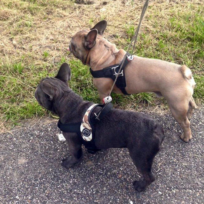 Primo American Camouflage Harness with Handle